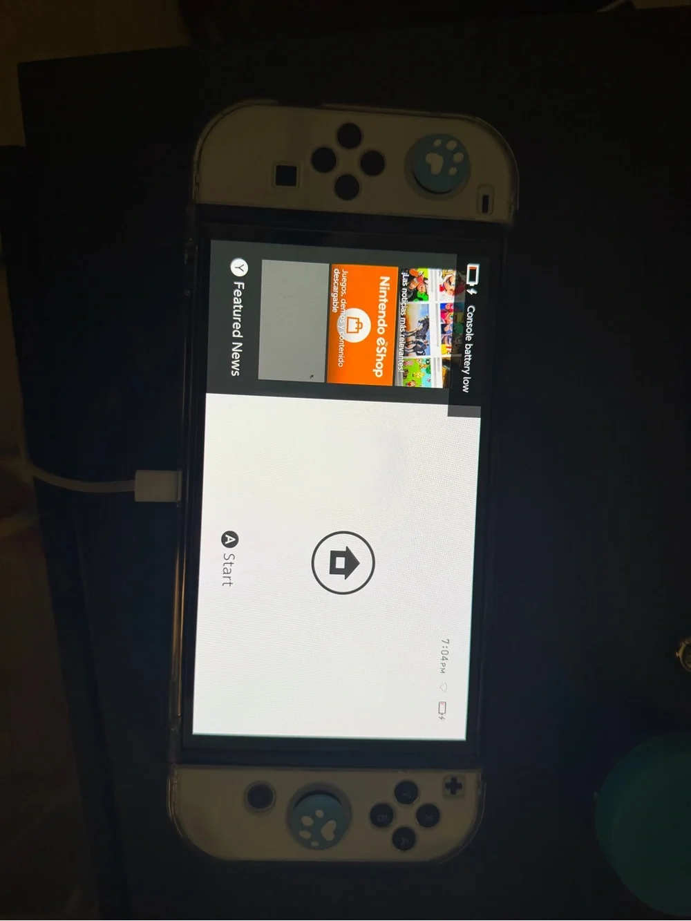 Nintendo Switch portable gray